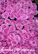 Fleurs roses &eacute;clatantes pour une maman ch&eacute;rie